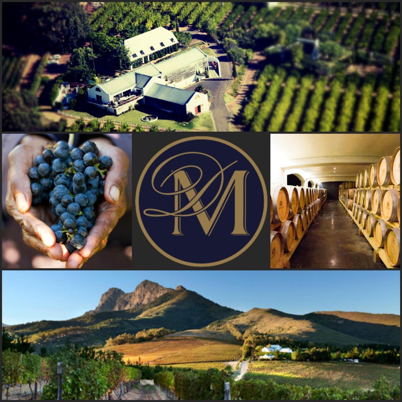 Marianne Wine Estate Bed & Breakfast Stellenbosch Ngoại thất bức ảnh